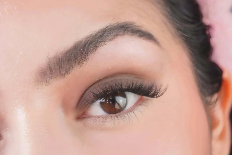 Eyeshadow Café Noir – Mineralissima