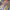 collections/337740571_761122545599638_4719863707453396097_n_b1a55434-ceb2-4eb5-a195-cc58b110cbed.webp