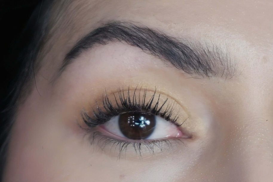 Eyeshadow Arena