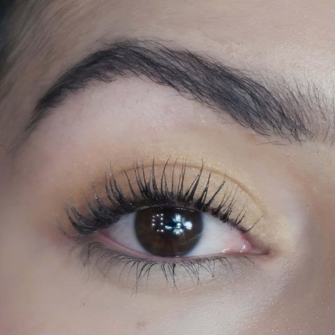 Eyeshadow Arena