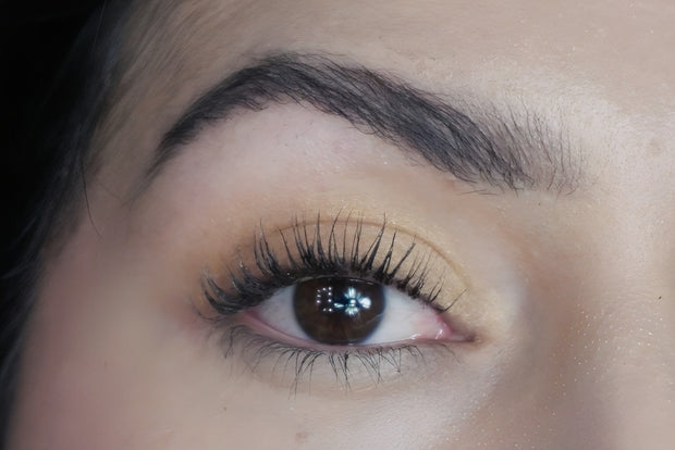Eyeshadow Arena