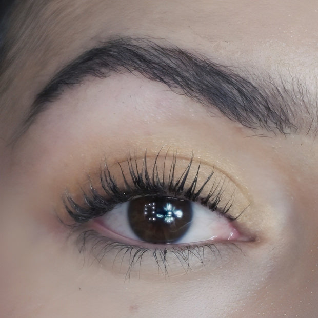 Eyeshadow Arena