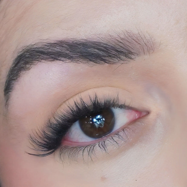 Eyeshadow Bellini