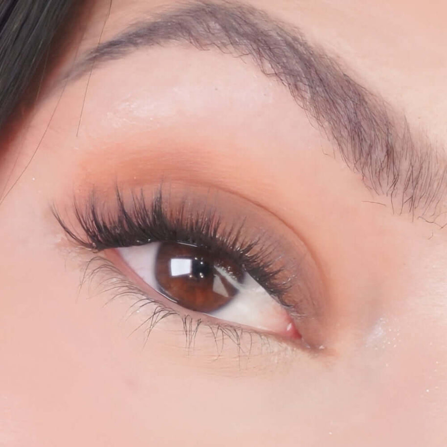 Eyeshadow Dark Roast