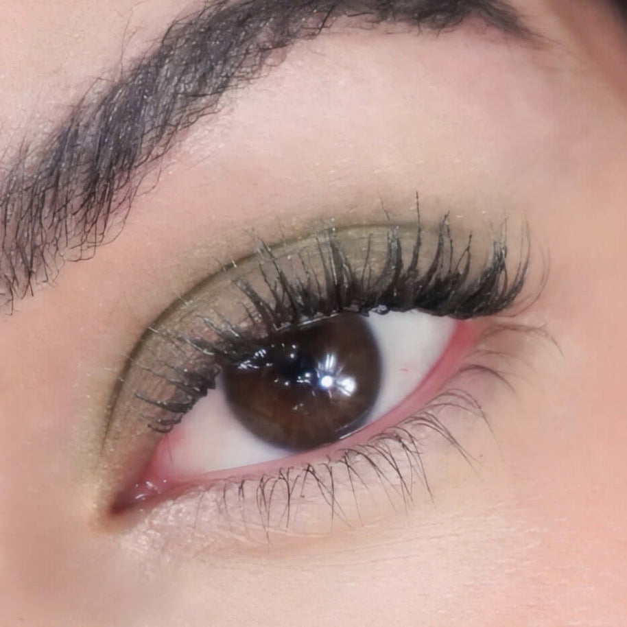 Eyeshadow Evergreen