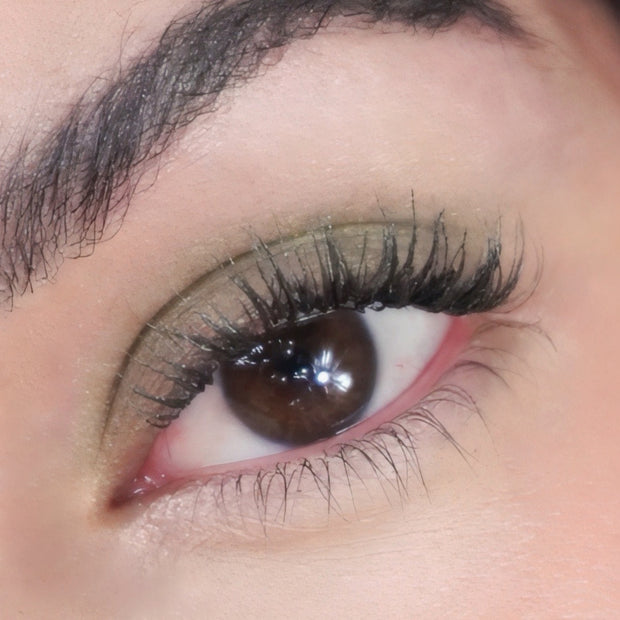 Eyeshadow Evergreen