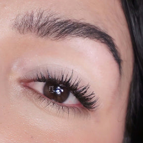 Eyeshadow Fairy