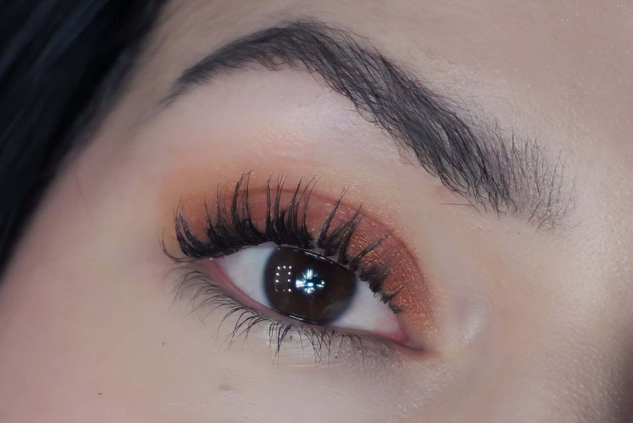 Eyeshadow Fiesta