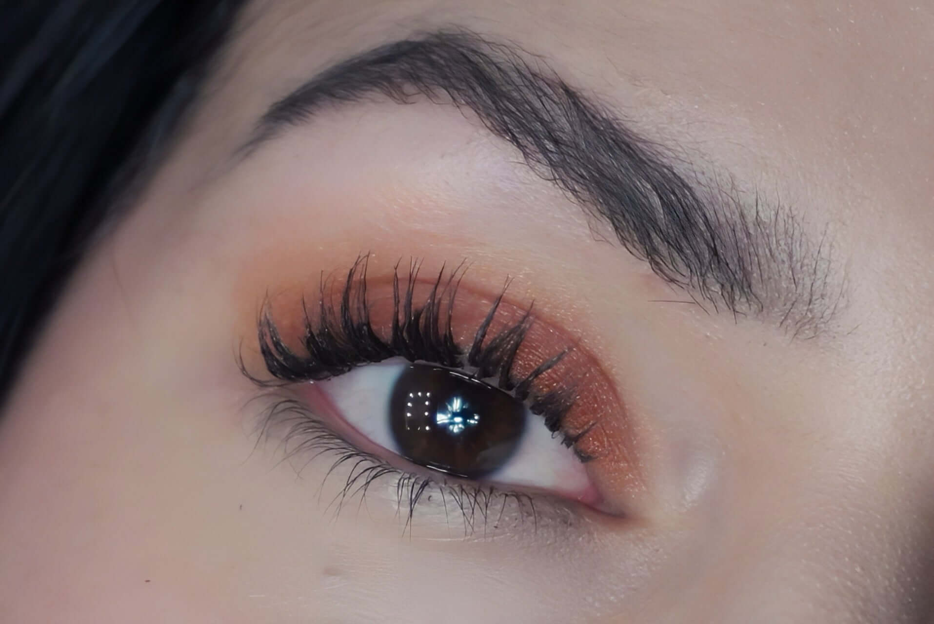 Eyeshadow Fiesta