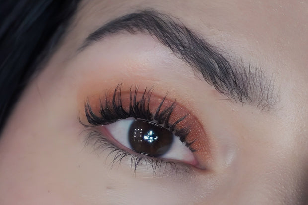 Eyeshadow Fiesta