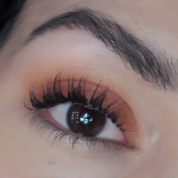Eyeshadow Fiesta