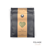 Refill Bag Concealer