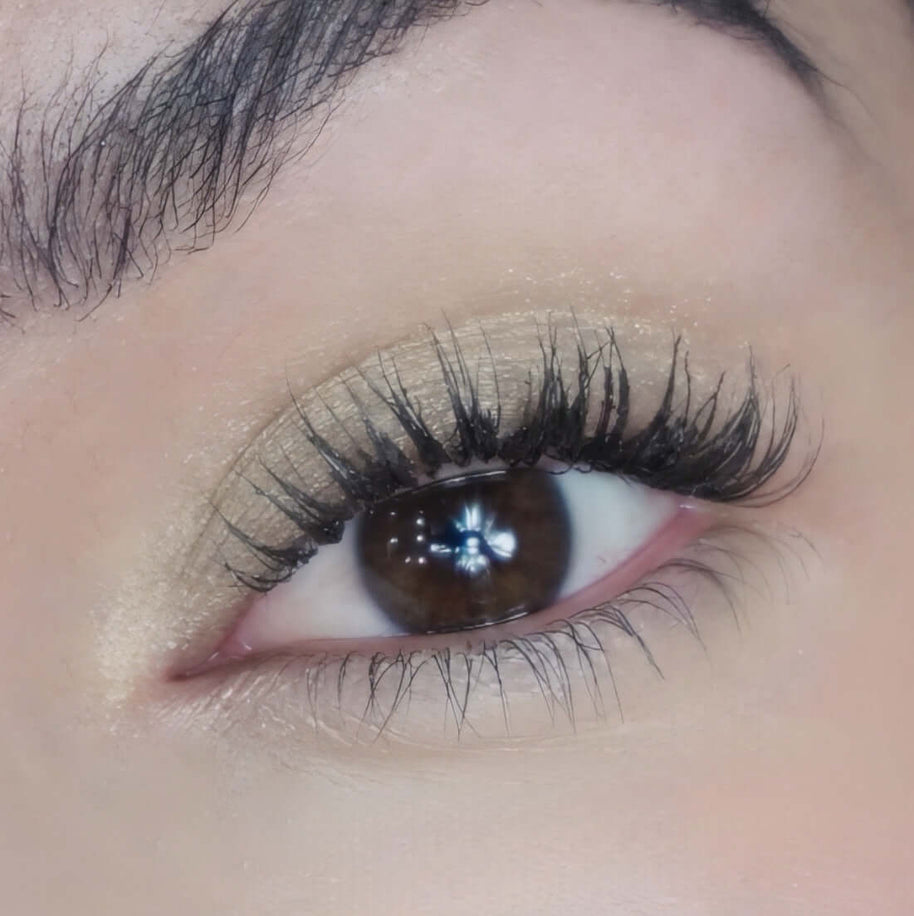 Eyeshadow Fortune