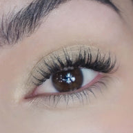Eyeshadow Fortune