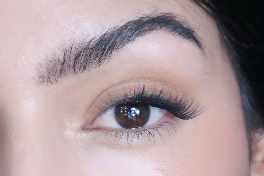 Eyeshadow Glory