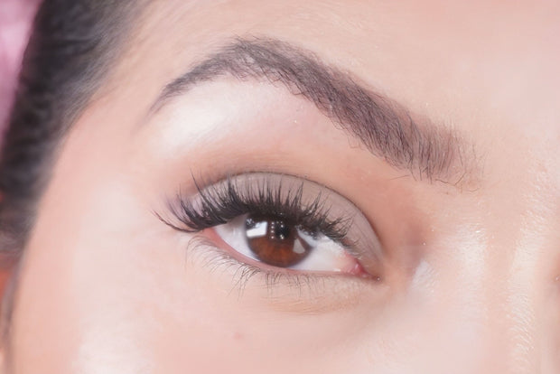 Eyeshadow Jet Lag