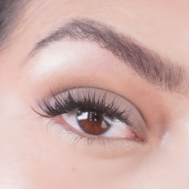 Eyeshadow Jet Lag