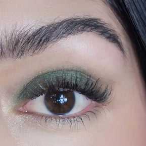 Eyeshadow Jungle