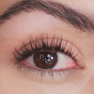 Eyeshadow Mercy