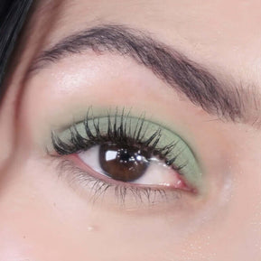 Eyeshadow Safari