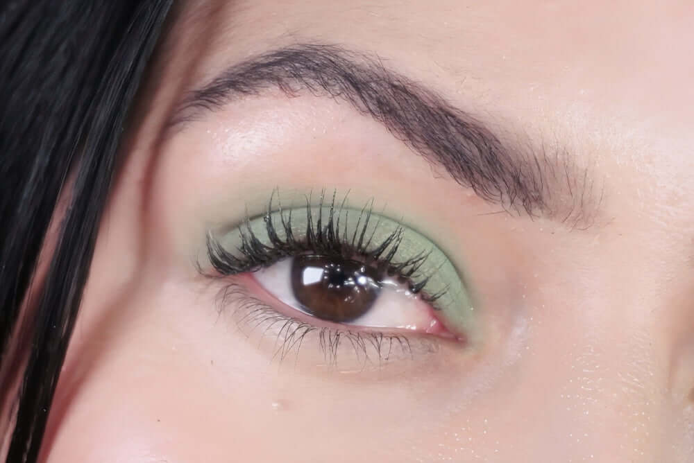 Eyeshadow Safari