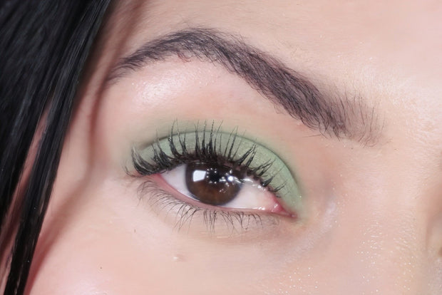 Eyeshadow Safari