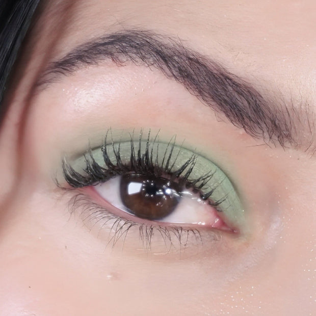Eyeshadow Safari