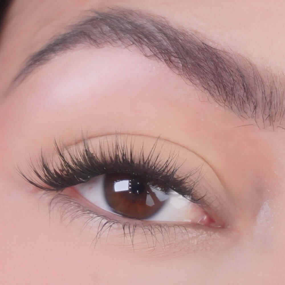 Eyeshadow Tender