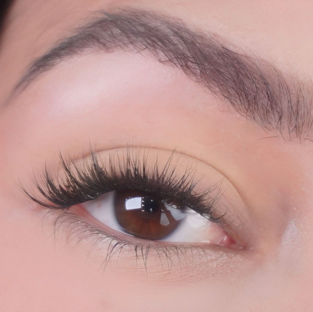 Eyeshadow Tender