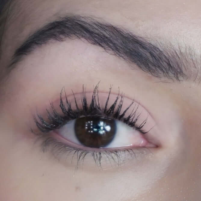 Eyeshadow Vista