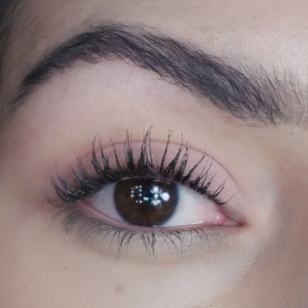 Eyeshadow Vista