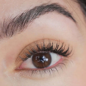 Eyeshadow Wish