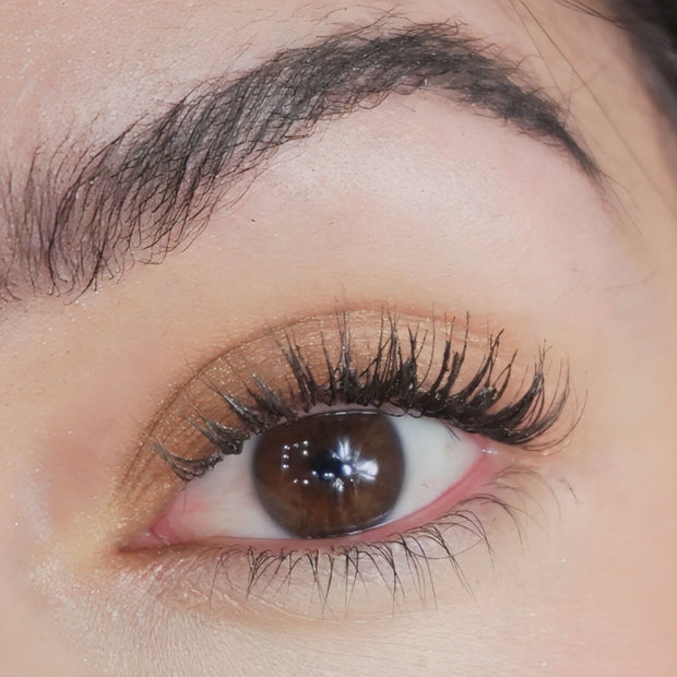 Eyeshadow Wish