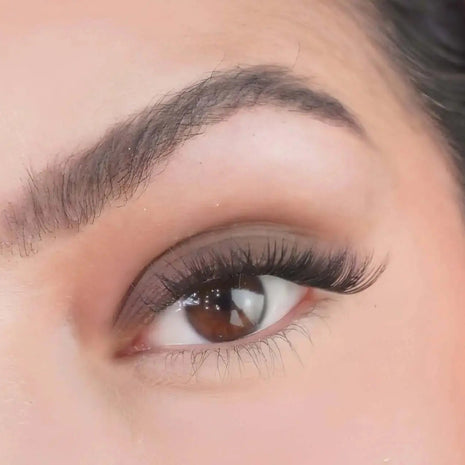 Eyeshadow Café Noir – Mineralissima