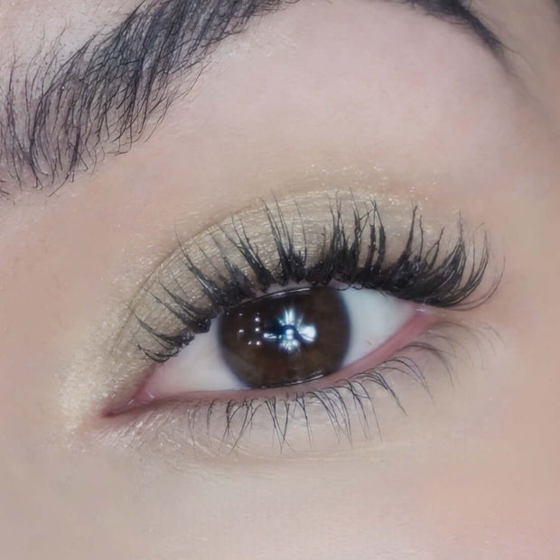 Oogschaduw Fortune - Mineralissima